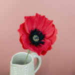 2025-09-15 Coquelicots5 BD