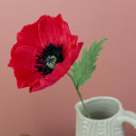 2025-09-15 Coquelicots5 BD