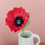 2025-09-15 Coquelicots5 BD
