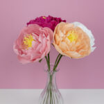 Pivoines_2026_ensemble_1