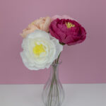 Pivoines_2026_ensemble_1