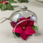 2025-10-31 BoulePoinsettia_2_BD