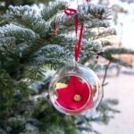 Boule de Noel – Poinsettia rouge