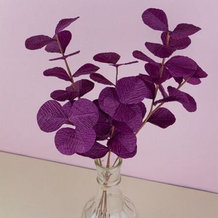 2024-01-13 Eucalyptus violet en vase 1x1 BD