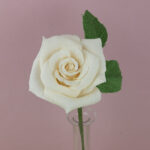 Rose crème – picture 2