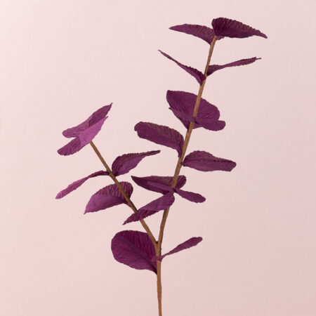 2024-01-20 Eucalyptis branche double violet 1x1 BD PIC2