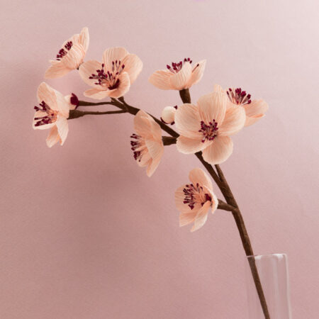 Branche de Sakura en papier