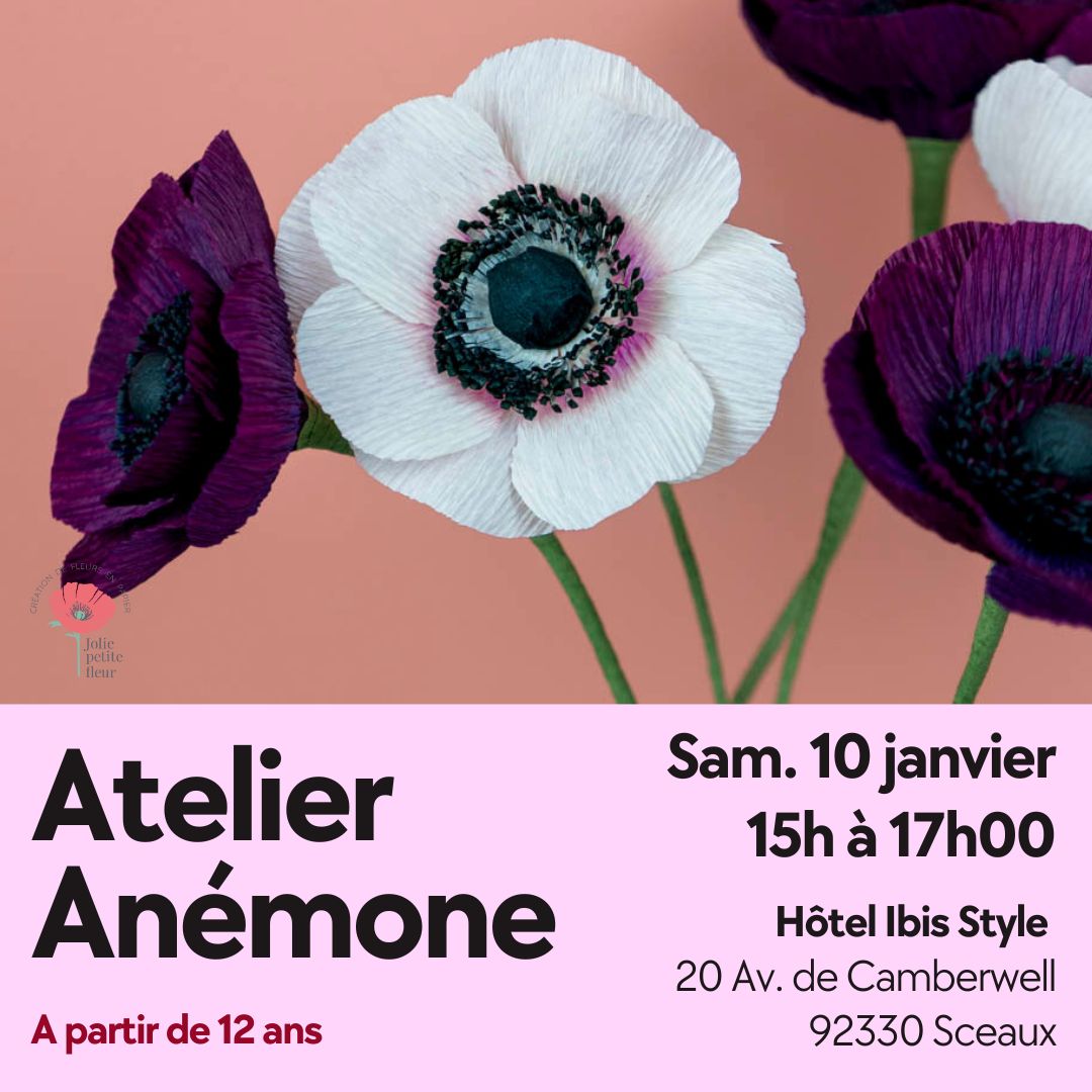 Anémone Anémone