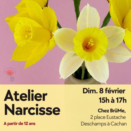 Atelier narcisse - Dimanche 8 février 2026