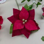 2025-10-31 PoinsettiaRouge