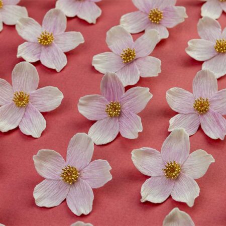 Broches sakura