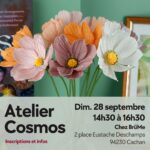 Atelier Fleur du Cosmos – 28 septembre 2025