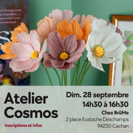 Atelier Fleur du Cosmos - 28 septembre 2025
