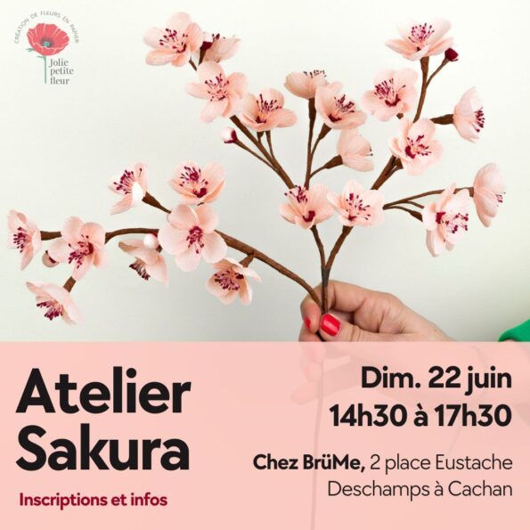 Atelier Sakura Brume 22 juin 2025