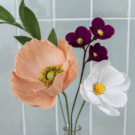 Composition Pavot+Cosmos
