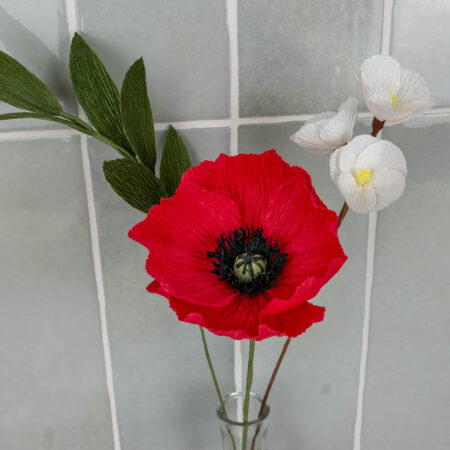 Composition florale coquelicot