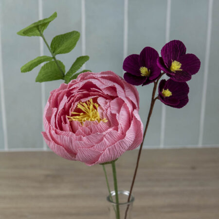 Composition Pivoine