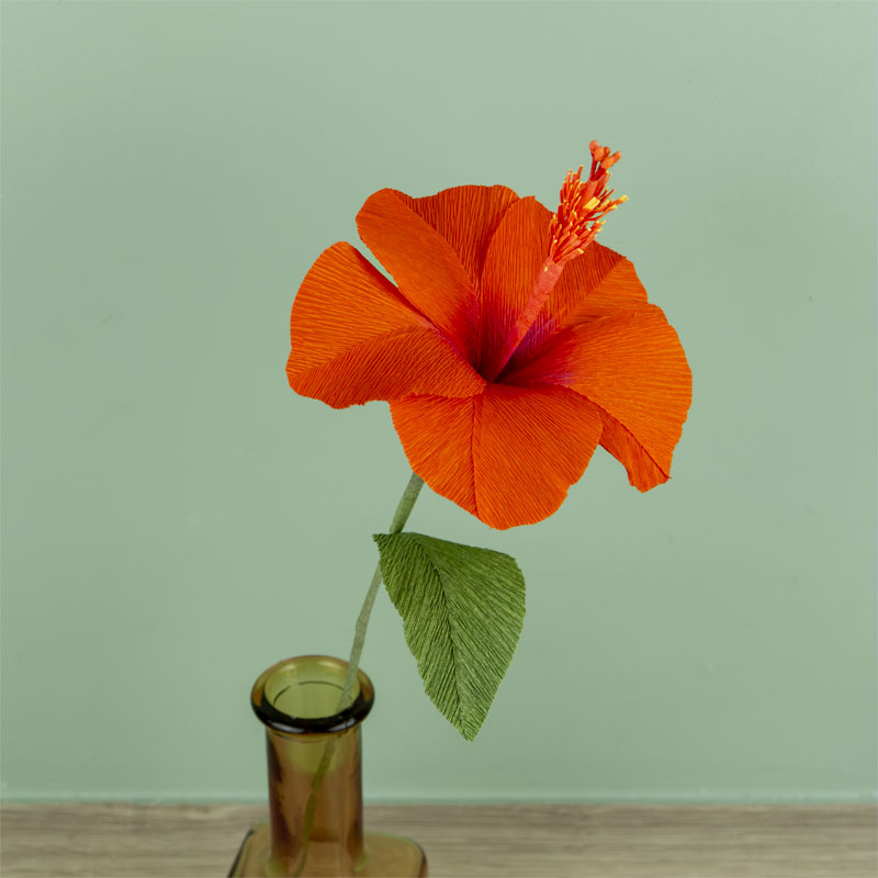 2025-10-30 Hibiscus Orange BD2_1