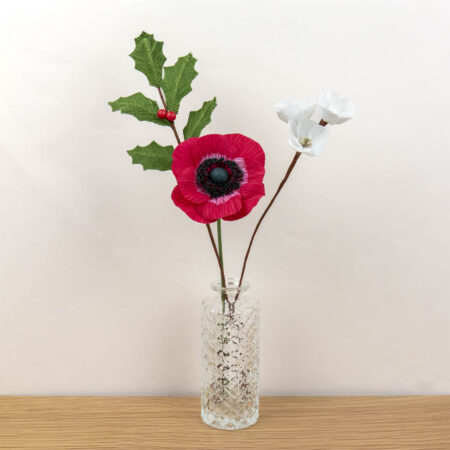Compo de Noël - Anémone rouge