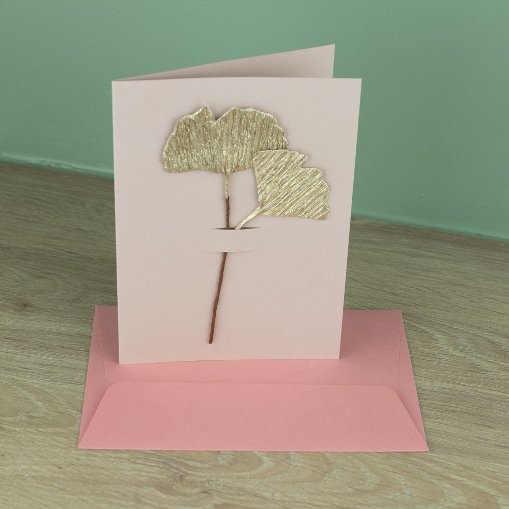 2026-02-15 CarteGingko_2