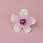 Pin’s Sakura – Photo produit